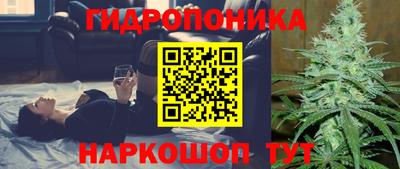 прущие крисы Заводоуковск