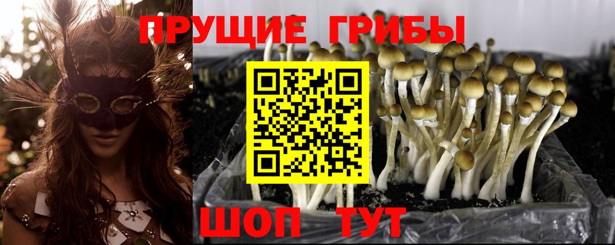 Псилоцибиновые грибы прущие грибы Малоярославец