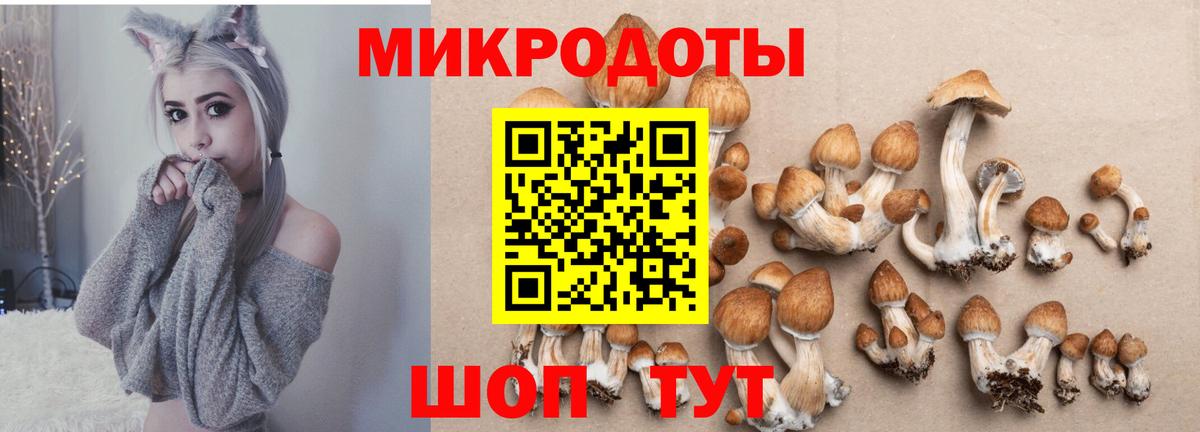 Галлюциногенные грибы ЛСД  Вход с VPN  купить наркоту  Малоярославец 